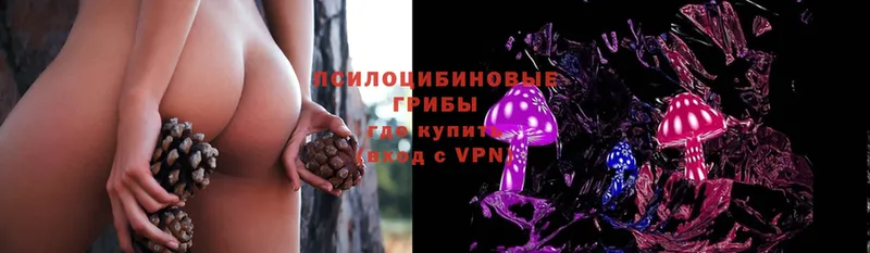 наркошоп  Закаменск  omg tor  Галлюциногенные грибы Cubensis 